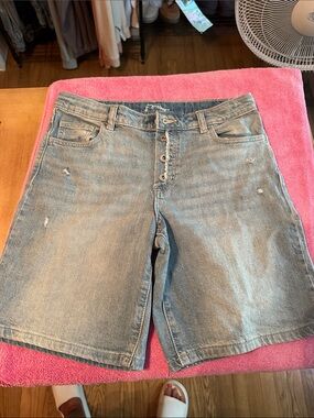 art class Light Blue Distressed Jean Shorts